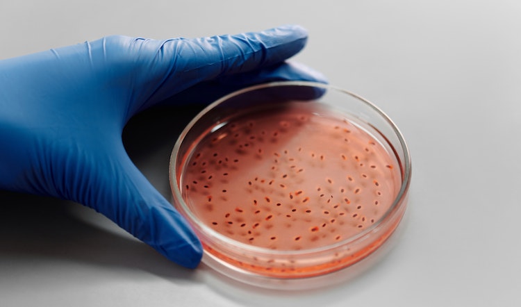 Isu-isu Etika dalam Kloning dan Bioteknologi